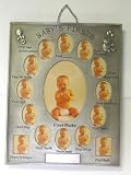 12 - 1?��1? & 1 3?��5 Ovals & 2 1?��1? - 'Baby's First's (Significant Events) w/Engraveable Plate