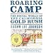 The California Gold Rush: Some Social Histories