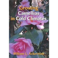Growing Camellias in Cold Climates