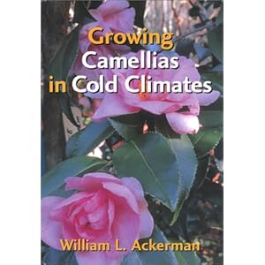 Growing Camellias in Cold Climates