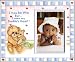 I May Be Little But... I Own My Daddy's Heart! - Picture Frame Gift