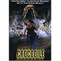 Crocodile