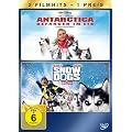 Antarctica - Gefangen im Eis / Snow Dogs - 8 Helden auf 4 Pfoten (2 DVDs)