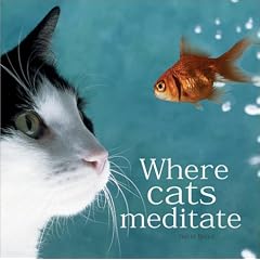 Where Cats Meditate