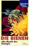 Die Bienen - Alle Macht der Königin
