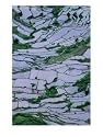 Rice Terraces Surrounding Ducos, Sagada, Mountain, Philippines Photographic Poster Print by Mark Daffey, 18x24