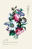 Art Poster, Ensemble with Pick Rose - 20x30
