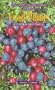 Food Plants of Interior First Peoples (Royal British Columbia Museum Handbook,)