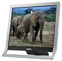 Sony XBrite SDM-HS75P/S 17" LCD Monitor (Silver)