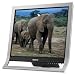 Sony XBrite SDM-HS75P/S 17" LCD Monitor (Silver)