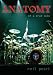 Neil Peart - Anatomy of a Drum Solo