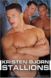 Cover of Stallions by  3861876825