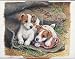 Jack Russell Jigsaw Puzzle 1000pc