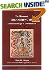 The Mystery of the Coniunctio: Alchemical Image of Individuation (Studies in Jungian Psychology By Jungian Analysts)
