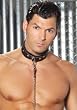 Leather Collar With O Ring Detail (Black;Men's One Size)