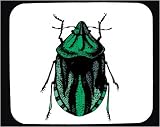 Decorated Mouse Pad with green, insect, beetle, specimen, crawling