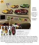 Wallpaper Patton Wallcovering Wallies Murals and More Raceway 14202