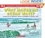 Scholastic Question & Answer: What Makes and Ocean Wave?: What Makes An Ocean Wave?