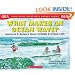 Scholastic Question & Answer: What Makes and Ocean Wave?: What Makes An Ocean Wave?