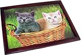 Kittens in a Case Bean Bag Cushioned Lap Tray