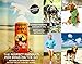Dog Shampoo - Natural, Instant Cleaning Mist, Bathless - Grain Free -Vitamin Rich, Ph Balanced, No-Mess Formula. Detergent Free Botanical Extracts Clean & Freshen-Up Pets Naturally. Sunshine Jack Natural Pet Care 16 oz