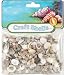 Sea Shell Mixes