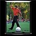 Tiger Woods 2005 Masters Curve Display with Autographed Photo and Range Driven Ball - Limited to 50