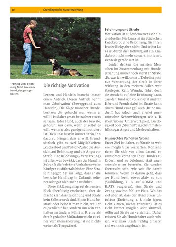 Hundeerziehung: Sozialisierung, Ausbildung, Problemlösung