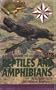 A Field Guide to Florida Reptiles and Amphibians (Excluding Snakes) (Gulf Publishing Field Guides)