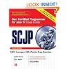 SCJP Sun Certified Programmer for Java 6 Exam 310-065