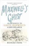 Maxwell`s Ghost