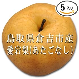 �y�Y�n�����z���挧�q�g�s�Y�y�������z�s�������Ȃ��t5kg�y5~8�ʁz