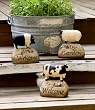 3 Assorted Farm Animals on Stone