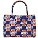 University of Illinois Handbag Purse Fighting Illini Logo