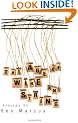 The Age of Wire and String (American Literature (Dalkey Archive))