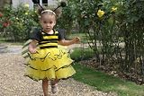 Girls Toddlers Bumble Bee Fancy Dress Costume 2-3 Years