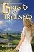 Brigid of Ireland: A Historical Novel