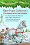 Magic Tree House Volumes 13-16 Boxed Set