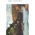 Atlantic Salmon Fishing by Charles Phair