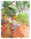 The Frog Princess Art Poster Print by Natalie Kilany, 16x20