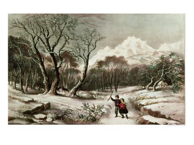 Woodlands in Winter