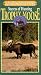 Hunting Trophy Moose [VHS]