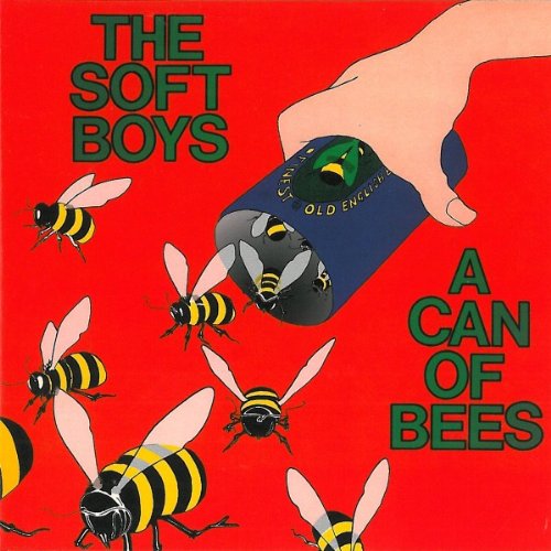 The Soft Boys - A Can Of Bees - Zortam Music