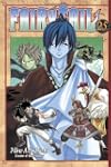 Fairy Tail 25