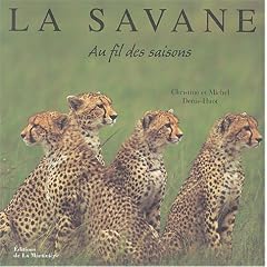 Savanes