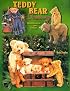 Teddy Bear Treasury: Identification and Values