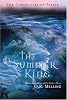 The Chronicles of Faerie: The Summer King