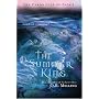 The Summer King (Chronicles of Faerie)