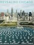 Revealing Chicago: An Aerial Portrait