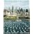 Revealing Chicago: An Aerial Portrait